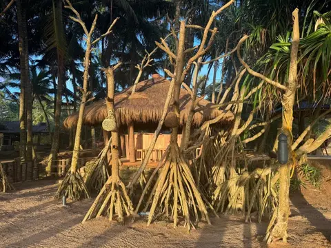 Coconut Beach