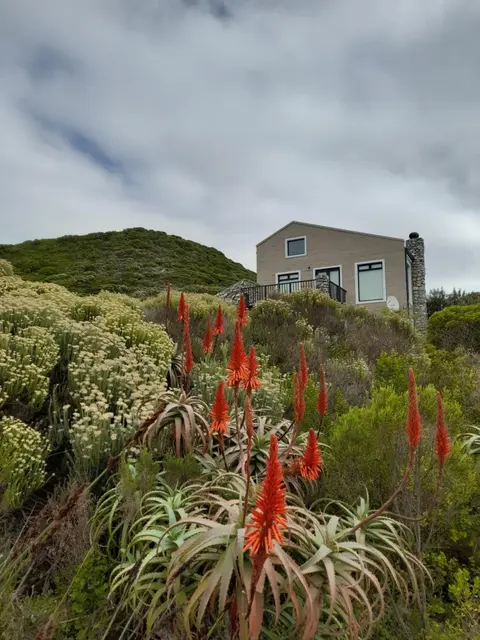 Peaceful Seaside Cottage, Betty's Bay Accommodation