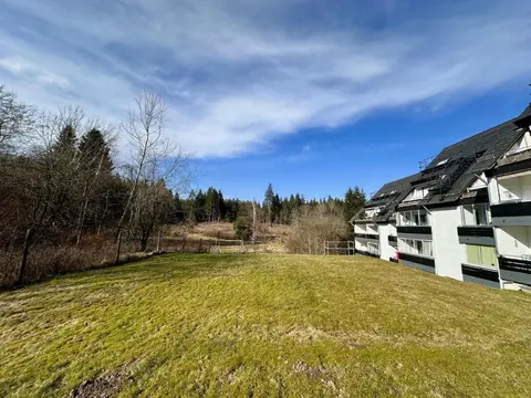 Ferienwohnung Waldgänger Hahnenklee