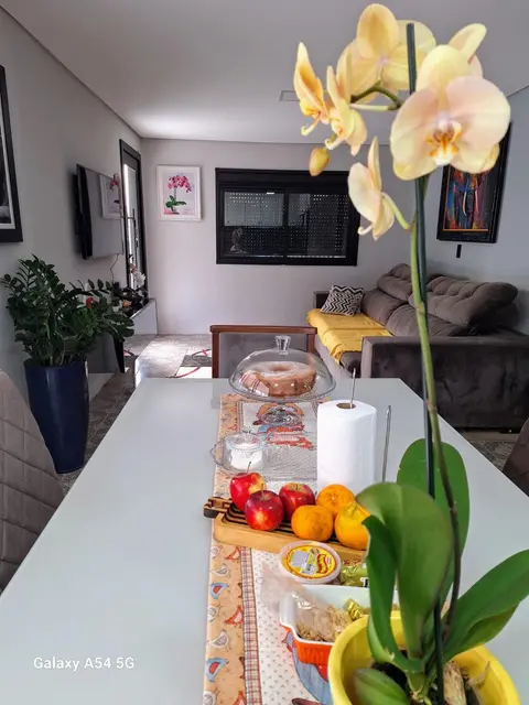 Casa Weber