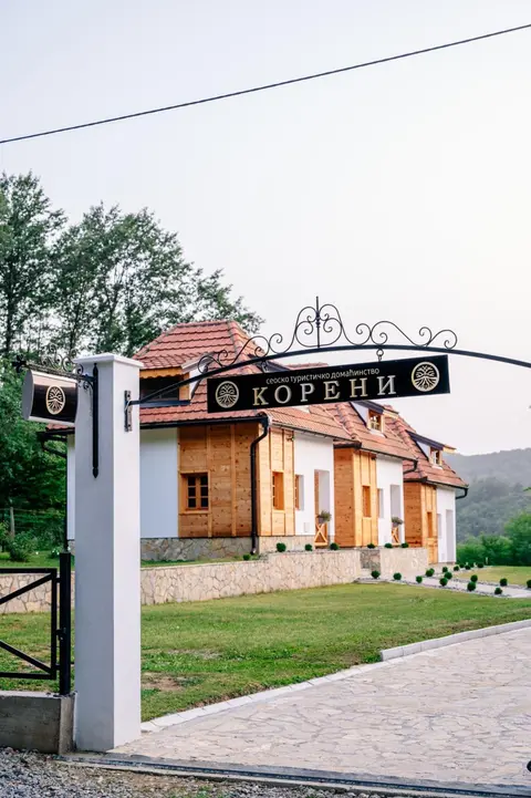 STD Koreni