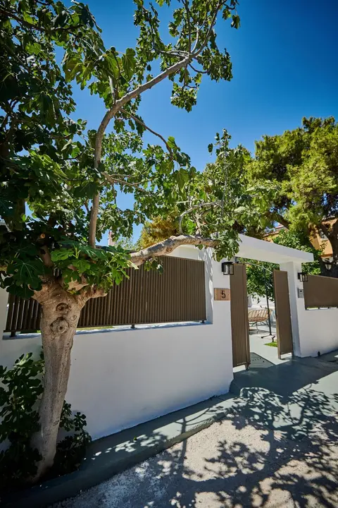 The lemon house