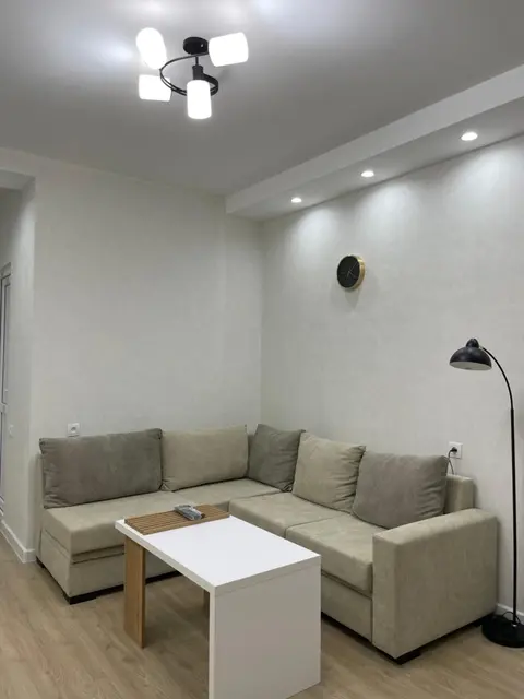 Modern apartment in Borjomi