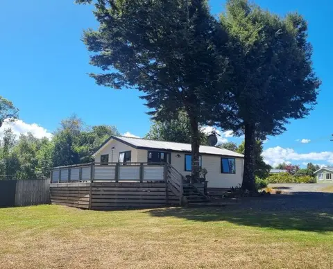 Manapouri Beech