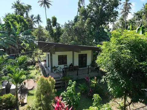 Andrei Holiday House
