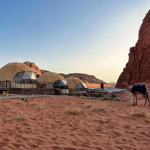 Rum Leno Luxure camp