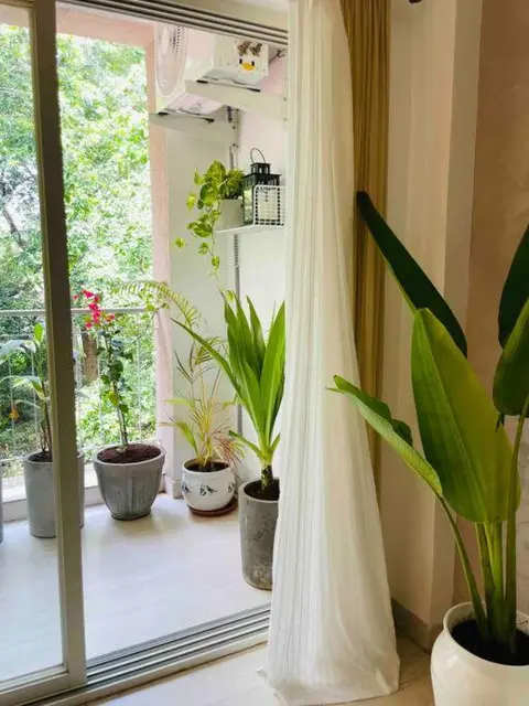Serene 2BHK Flat in Assagao