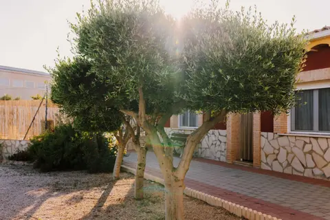 Casa Cayo