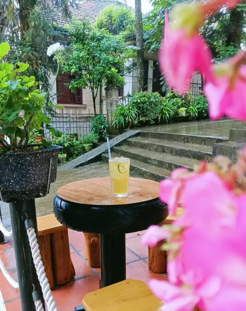 Nấm Homestay