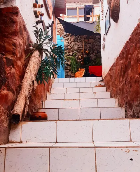 Huanchaco Surf Camp