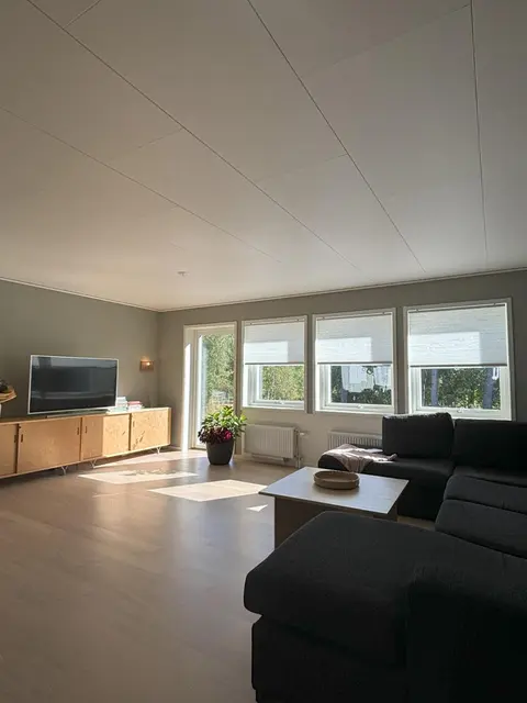 Villa by birches