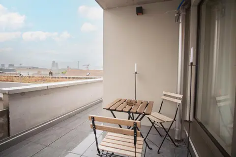 Top floor studio with terrace and free BaselCard