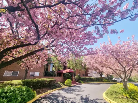 Large, Clean, Comfortable, 1br Near Einstein Hos