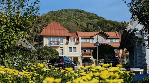 Chervona Ruta