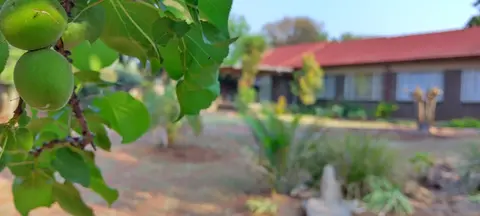 A Pet Friendly Home