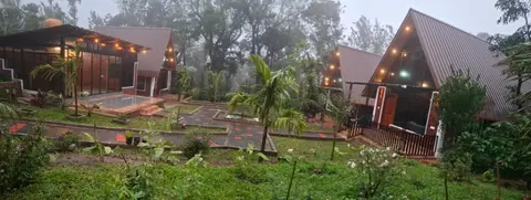 Wisteria Coorg