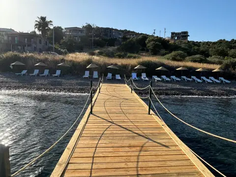 Merlot Assos