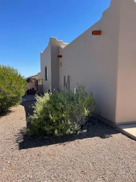 Tucson Mnt Foothills Saguaro Bliss