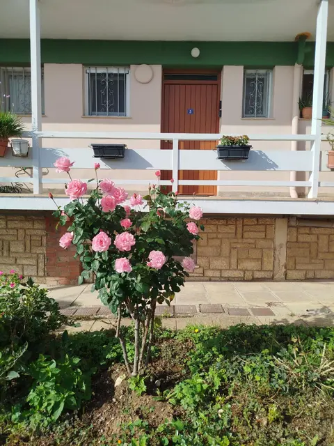 Ioannis Apartment