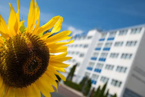 BeeVillage Messehotel Hannover Laatzen