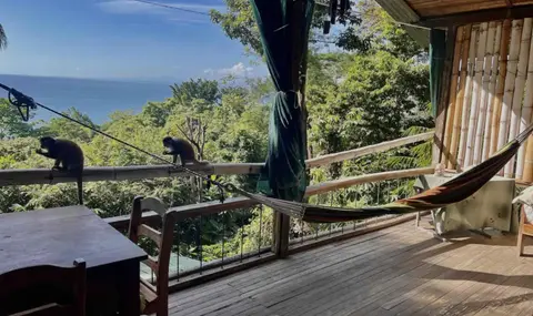 Beautiful rustic treehouse hotel Manuel Antonio