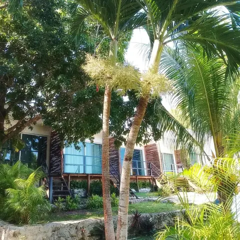 Hotel Xurús Bacalar