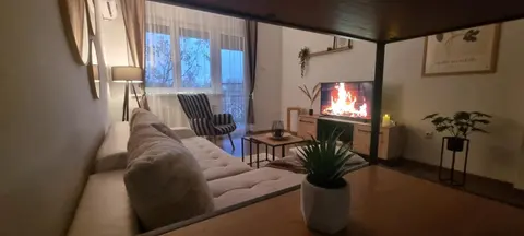 CENTRAL APARTMENT Kikinda