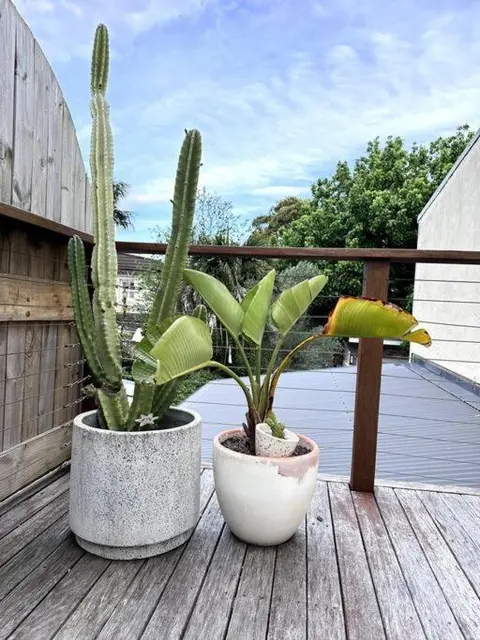 Home in Waverley