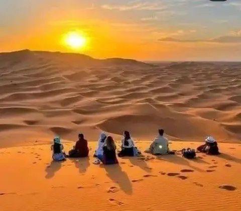 White Camp Desert Safari