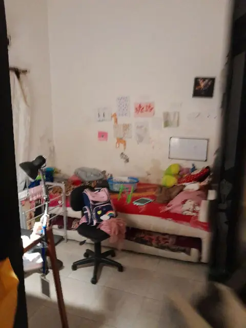 Homestay Sakura Reg