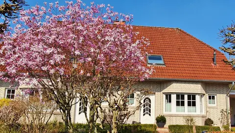4 Sterne Ferienhaus Marlene mit großem Garten