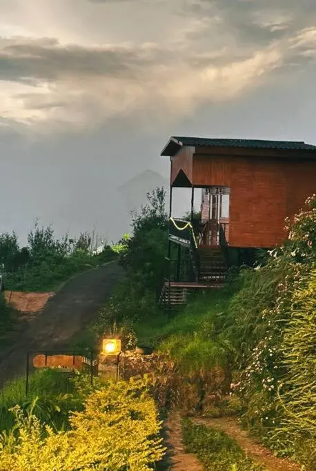 Cozy Wooden Cabin