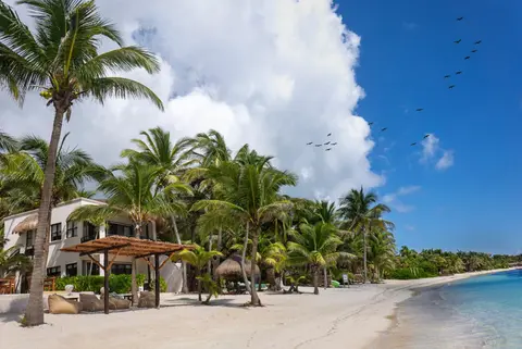 Mantaray Tulum