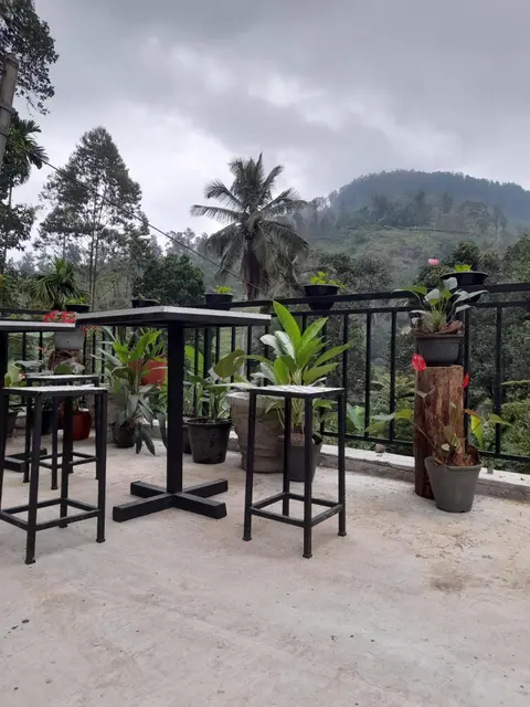 Ella Thenulya