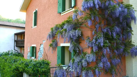 La Nicchia