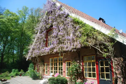 B&B De Hagmolenbeek Boekelo