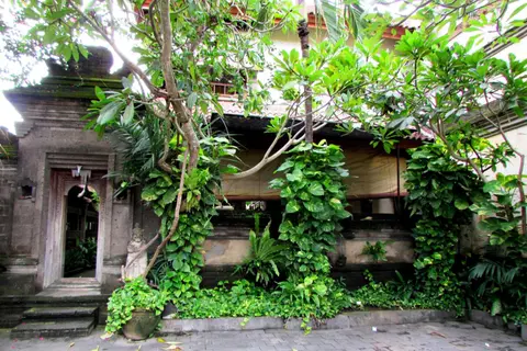 Griya Ayu Inn