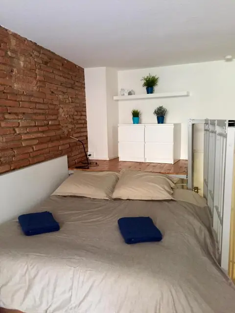 Le petit Moulin, duplex hypercentre Toulouse