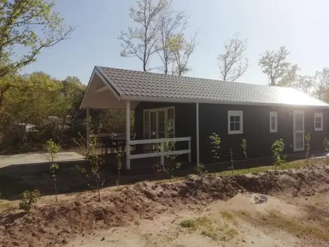 Comfortable forest lodge with open space