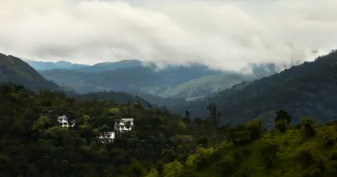 Hills & Hues
