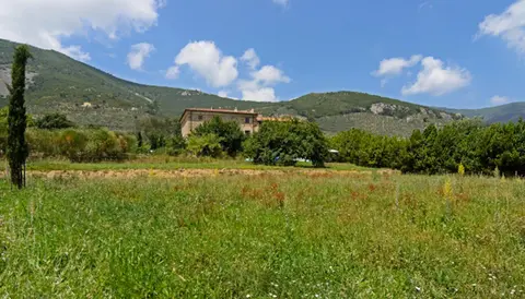 Al Palazzaccio