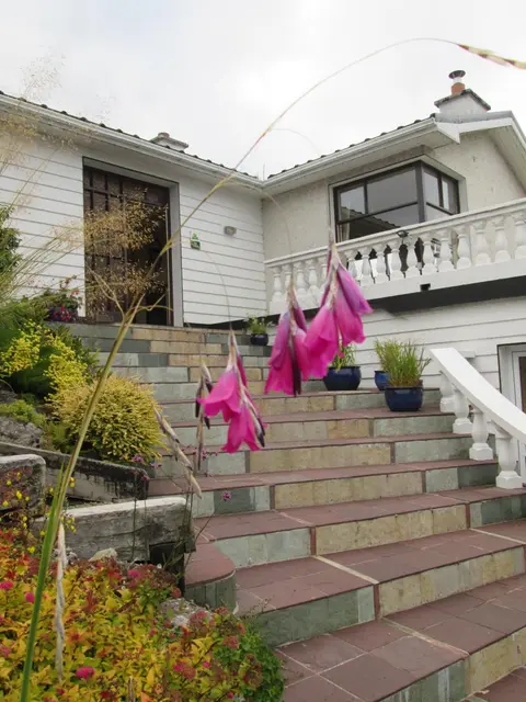 Kilbree House B&B