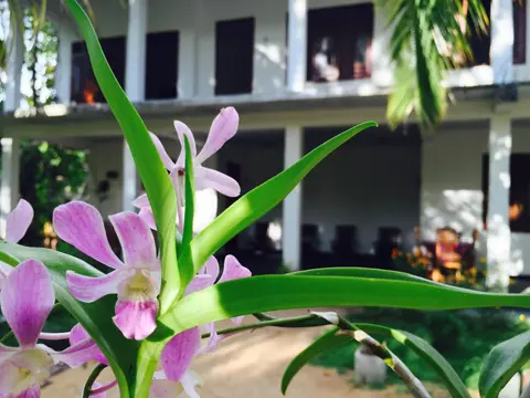 Sigiri Rainbow Lodge