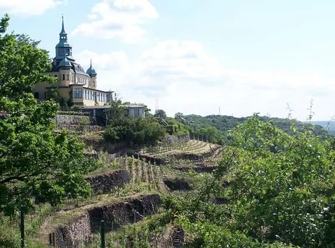 "weinberg Uitzicht" in het Felix Huis