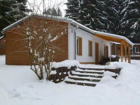 Holiday Home in Thuringia Near Rennsteig