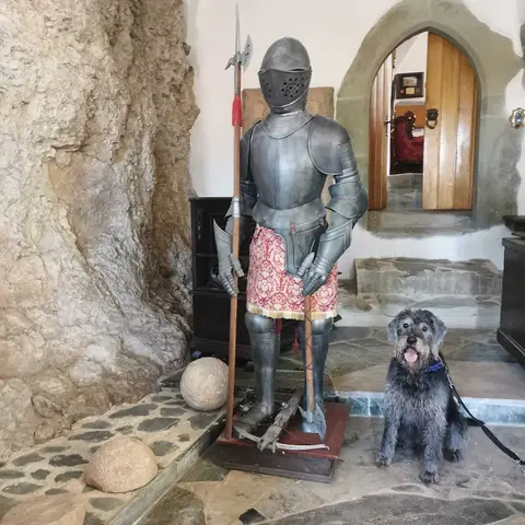 Burg Hermannstein MonksRoom