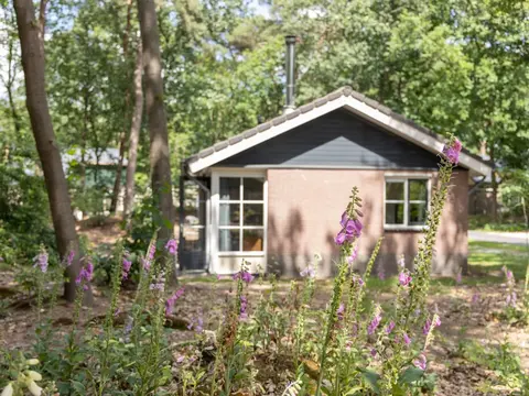 Bungalow in Park De Peel - Car-free Retreat