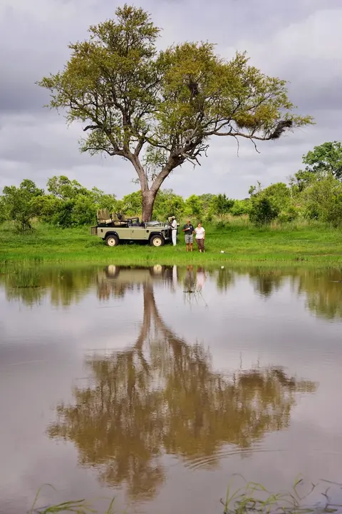 Distinctly Africa - Manyeleti