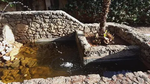 Villa Edera