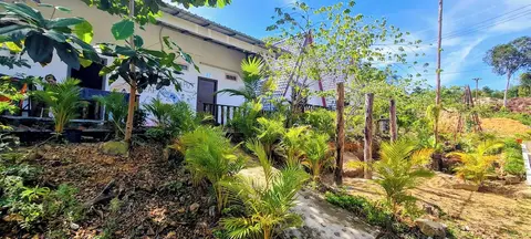 Blue Zone Hostel